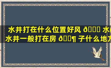 水井打在什么位置好风 🐕 水(水井一般打在房 🐶 子什么地方好)